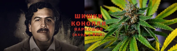 дмт Сатка