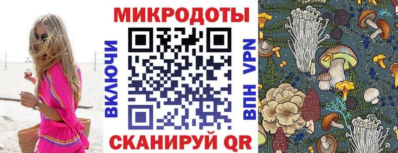 Псилоцибиновые грибы Psilocybine cubensis  Беслан 